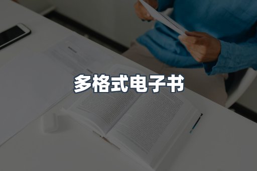 多格式电子书